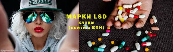 сатива Алзамай