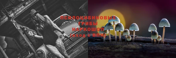 сатива Алзамай