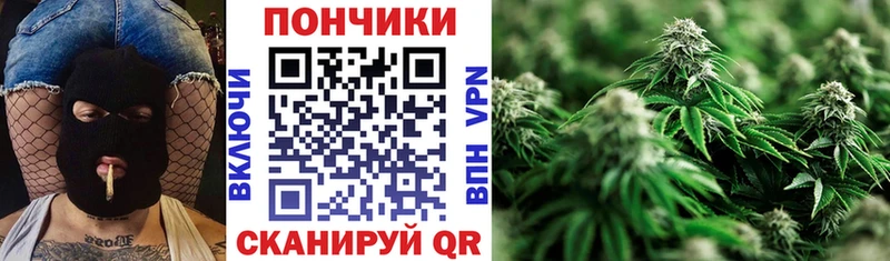 наркотики  Фатеж  Каннабис сатива 